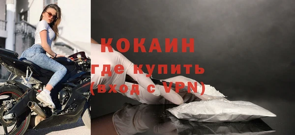 крисы Покачи