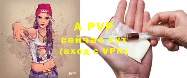 крисы Покачи