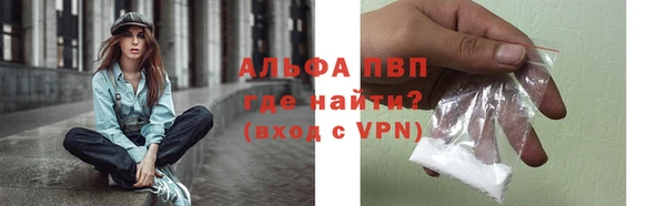 крисы Покачи