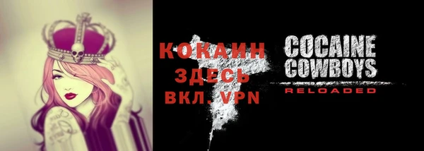 крисы Покачи