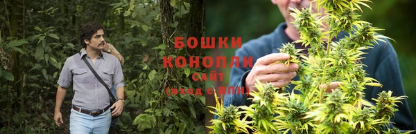 прущие крисы Покровск