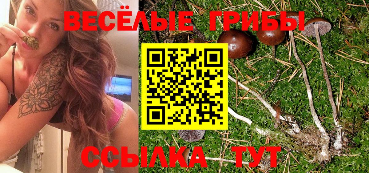 Галлюциногенные грибы прущие грибы Северобайкальск